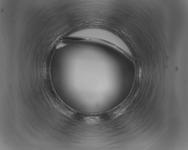 X0000081400508200702020324