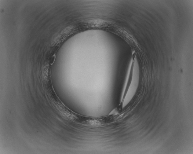 X0000081400509200702020324