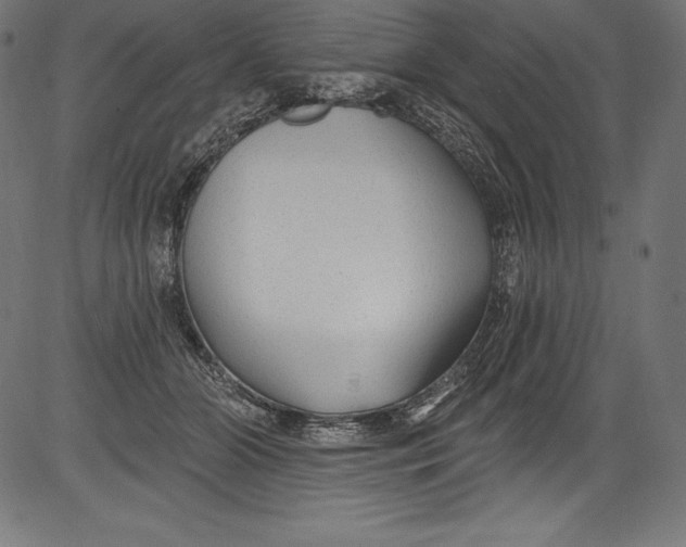 X0000081400510200702020324