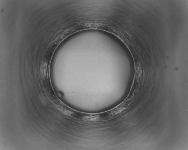 X0000081400511200702020324