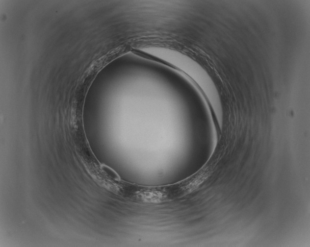 X0000081400512200702020324