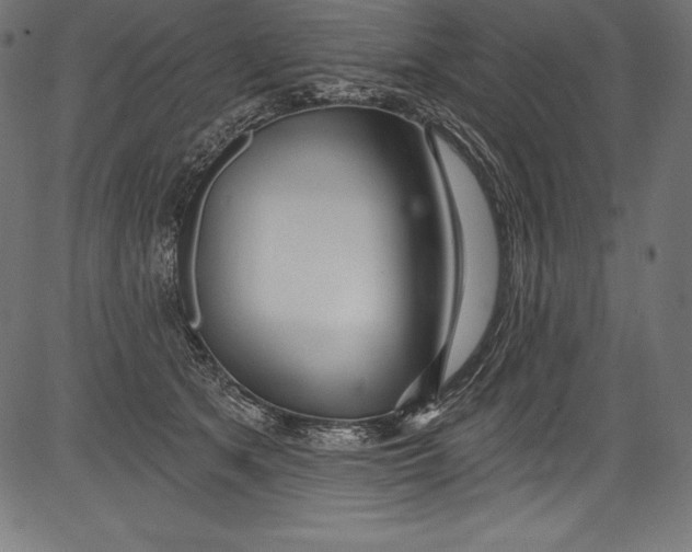 X0000081400513200702020324