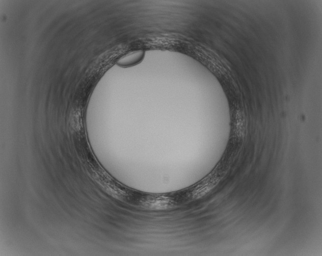 X0000081400514200702020324