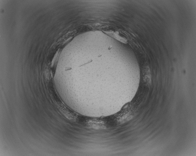 X0000081400515200702020324