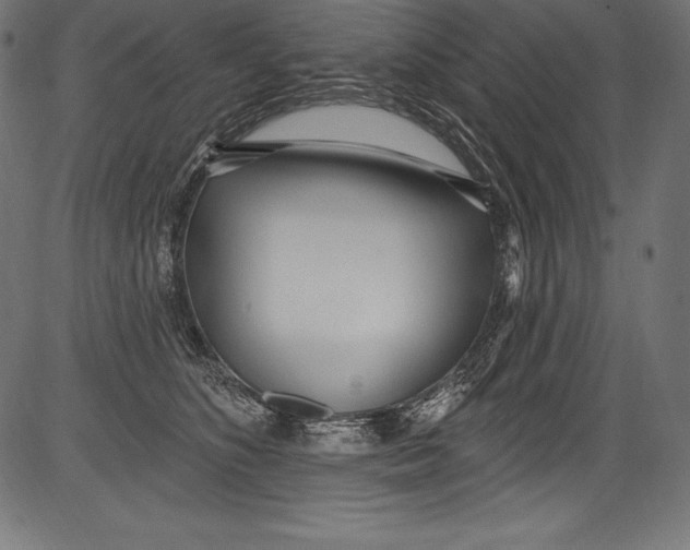 X0000081400516200702020324