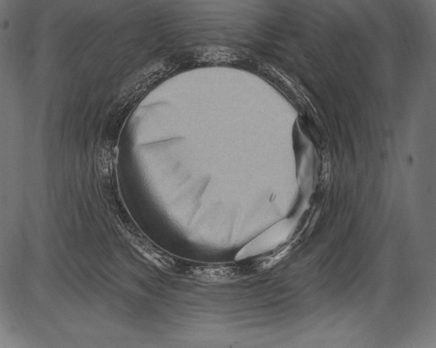 X0000081400517200702020324