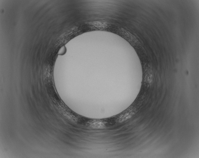 X0000081400518200702020324