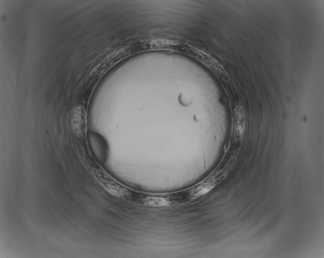 X0000081400519200702020324