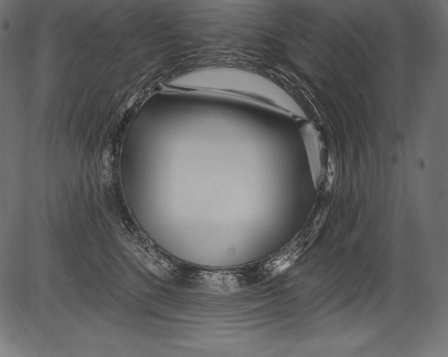 X0000081400520200702020324