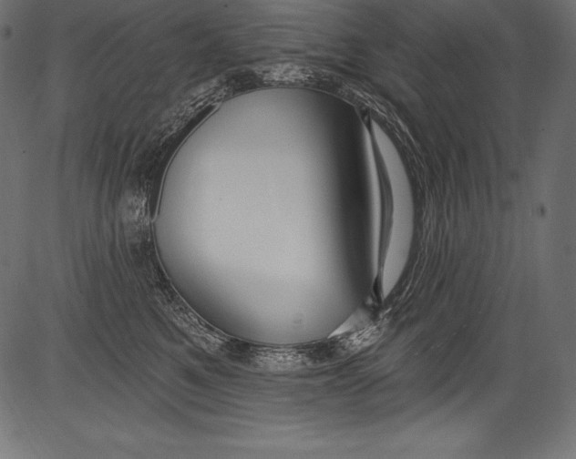 X0000081400521200702020323