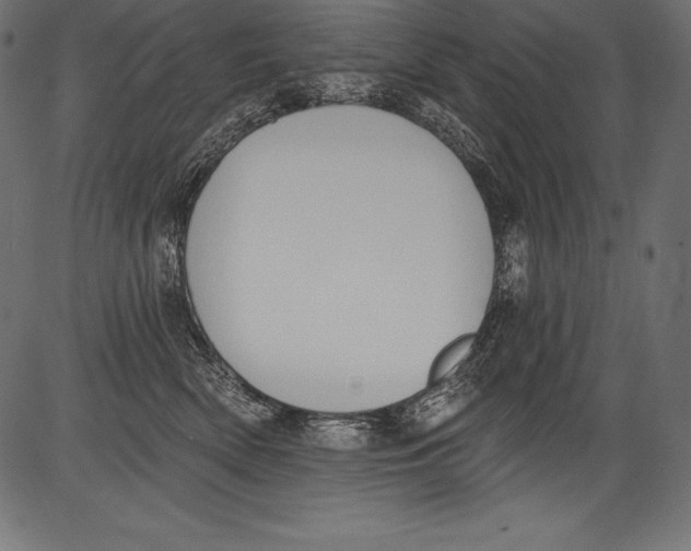 X0000081400522200702020323