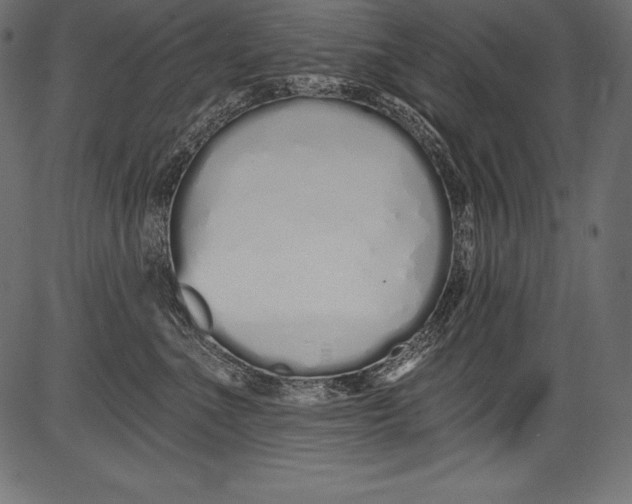 X0000081400523200702020323