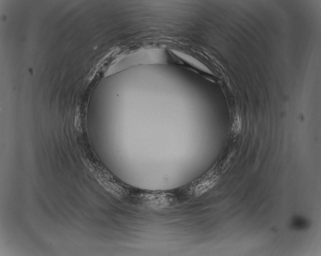 X0000081400524200702020323