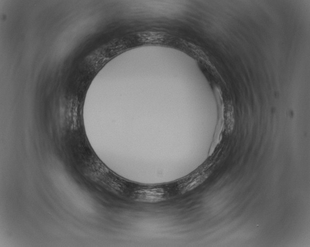 X0000081400525200702020323