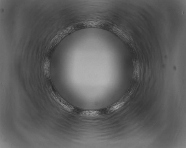 X0000081400526200702020323