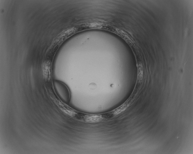 X0000081400527200702020323