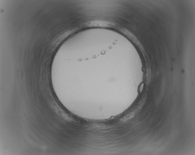 X0000081400529200702020323