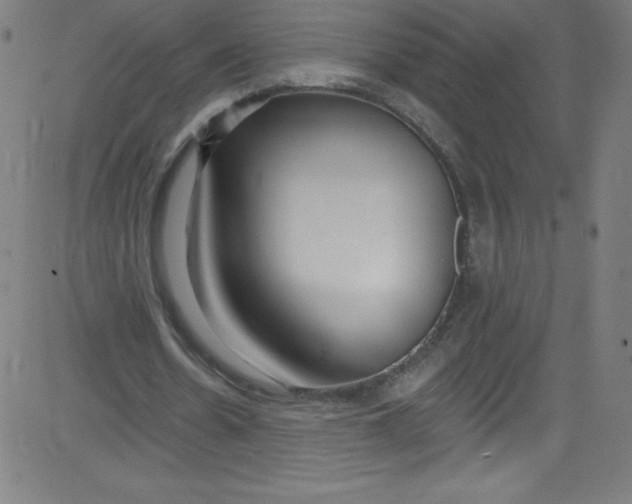 X0000081400530200702020323