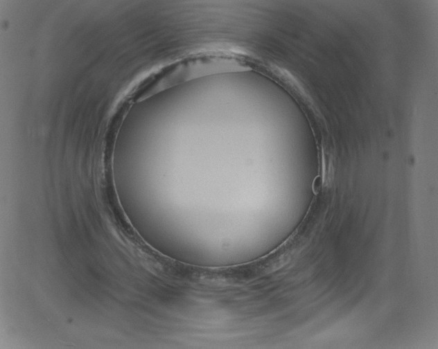 X0000081400531200702020323