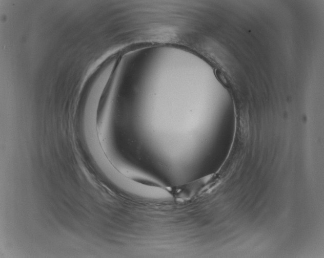 X0000081400532200702020323