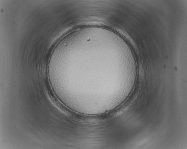 X0000081400533200702020323