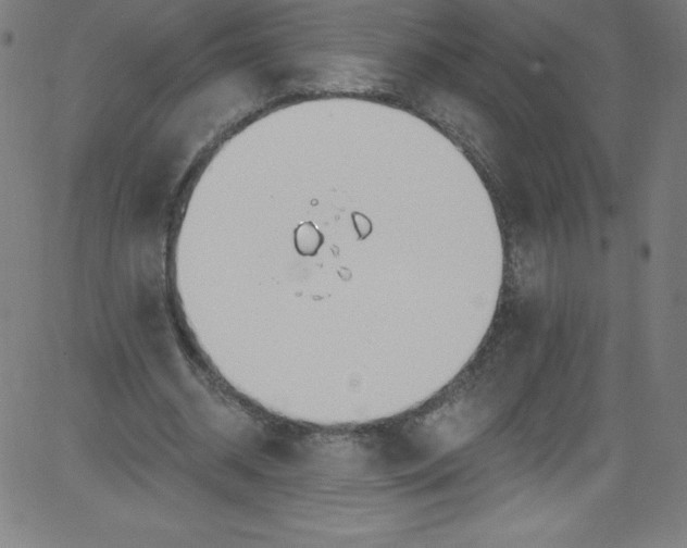 X0000081400534200702020323