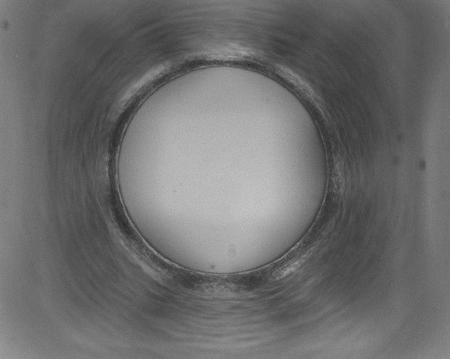 X0000081400535200702020323