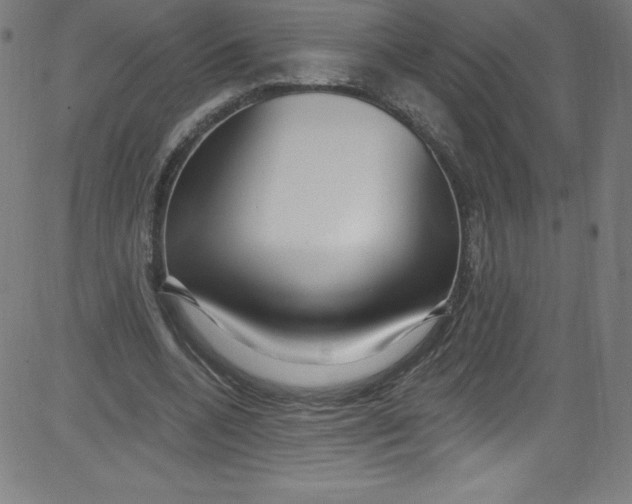 X0000081400536200702020323