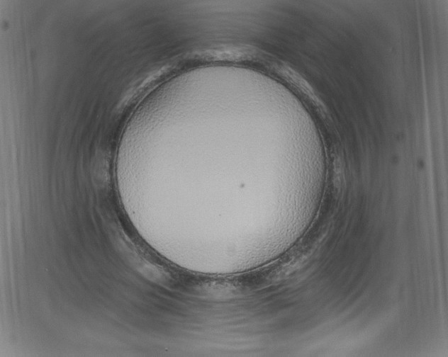 X0000081400537200702020323