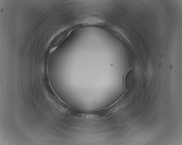 X0000081400539200702020323