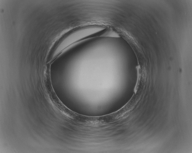 X0000081400540200702020323