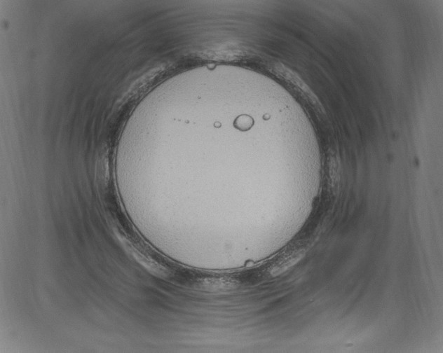 X0000081400541200702020323