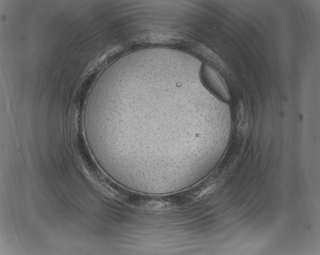 X0000081400542200702020323