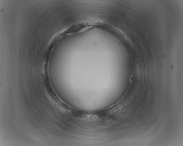 X0000081400543200702020323