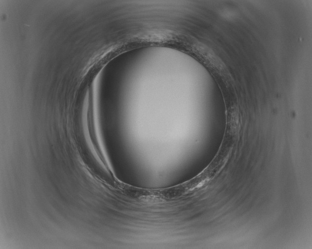 X0000081400544200702020323