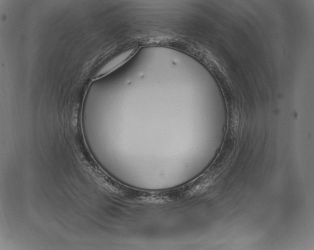 X0000081400545200702020323