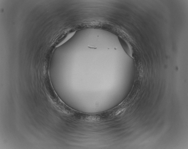 X0000081400546200702020323