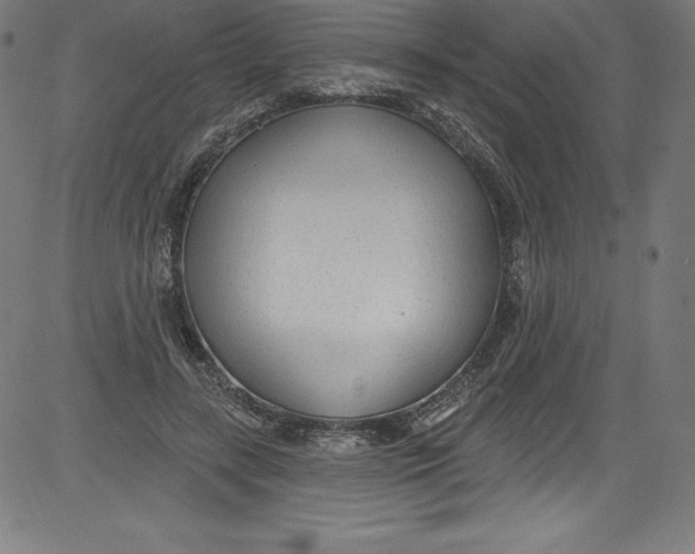 X0000081400547200702020323