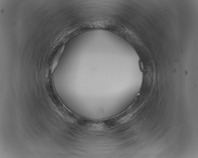 X0000081400548200702020323