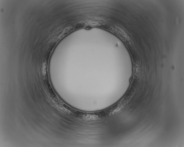 X0000081400549200702020323