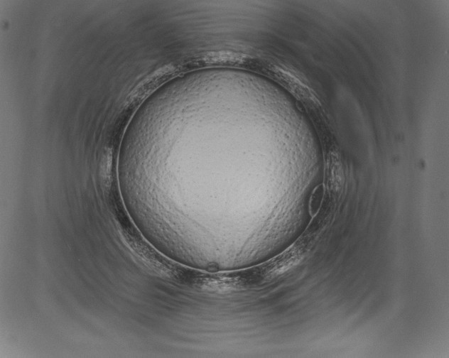 X0000081400550200702020323