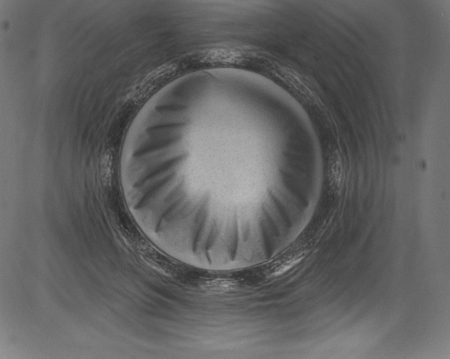 X0000081400551200702020323