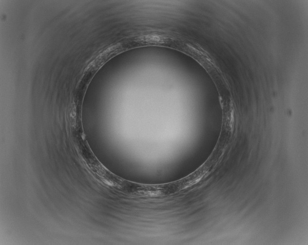 X0000081400552200702020323