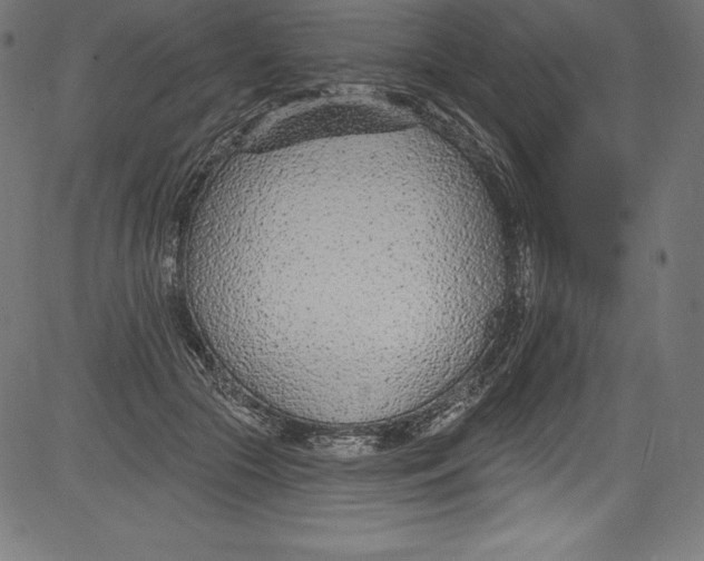 X0000081400553200702020323