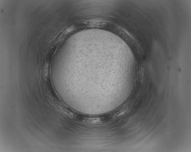 X0000081400554200702020323