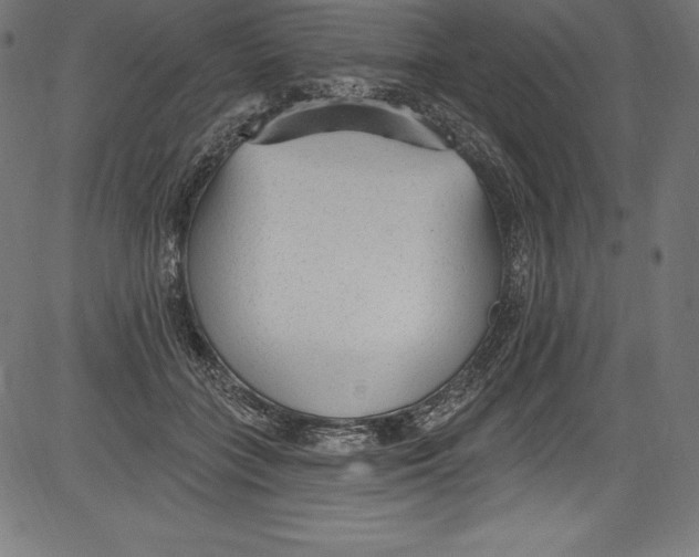 X0000081400555200702020323