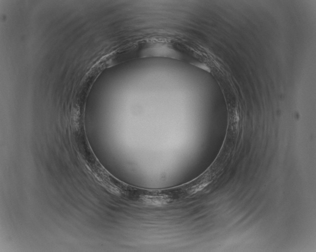 X0000081400556200702020323