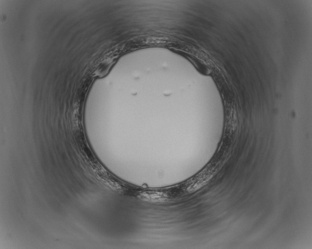 X0000081400557200702020323