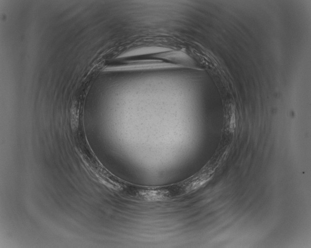 X0000081400558200702020323