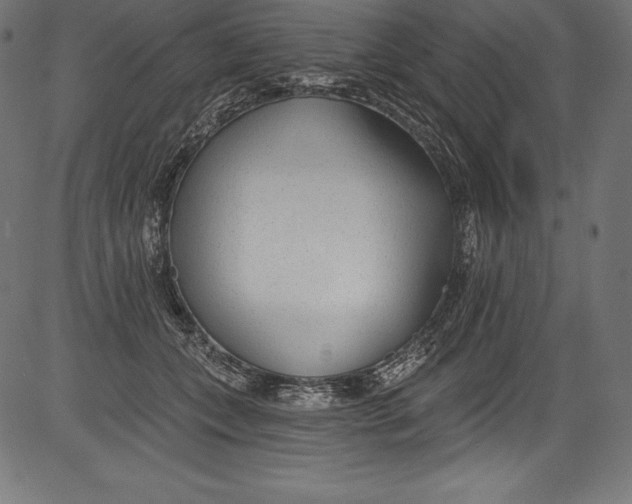 X0000081400559200702020323